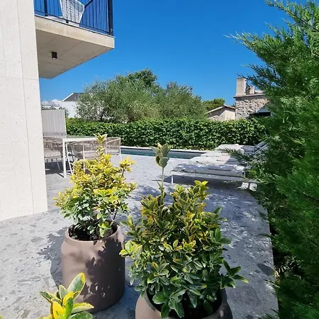 Delta House - Alfa *