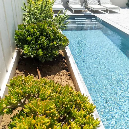 Delta House - Alfa *